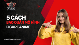 bao quan mo hinh figure
