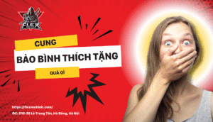 Cung Bảo Bình Thích Tặng Quà Gì
