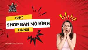 shop-Ban-Mo-Hinh-Anime-Ha-Noi