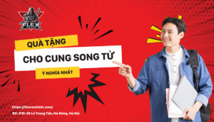 Quà Tặng Cho Cung Song Tử